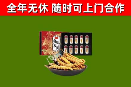 西安区回收冬虫夏草价格